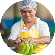 https://magnificafoods.com/wp-content/uploads/2016/09/organic-banana_final_0005__Clip-Group_.png